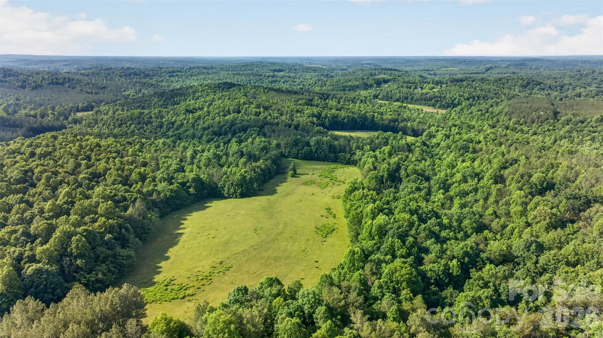 485 Frog Creek Road