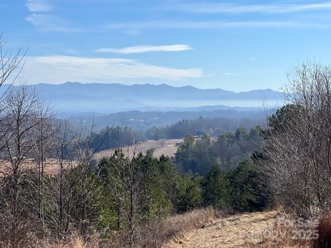 7550 Meadows Town Road Marshall NC 28753