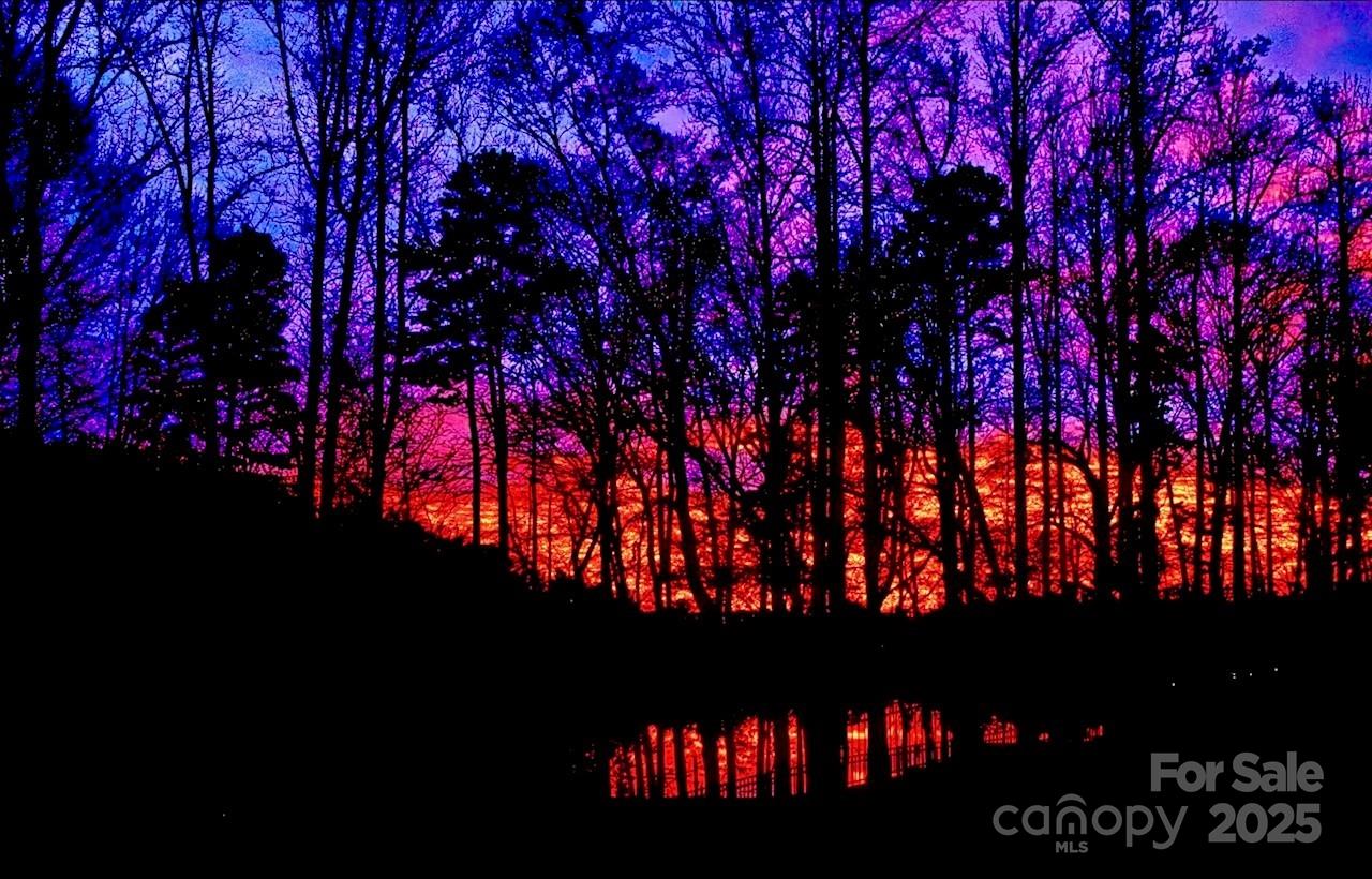 The Vineyards on Lake Wylie - Residential