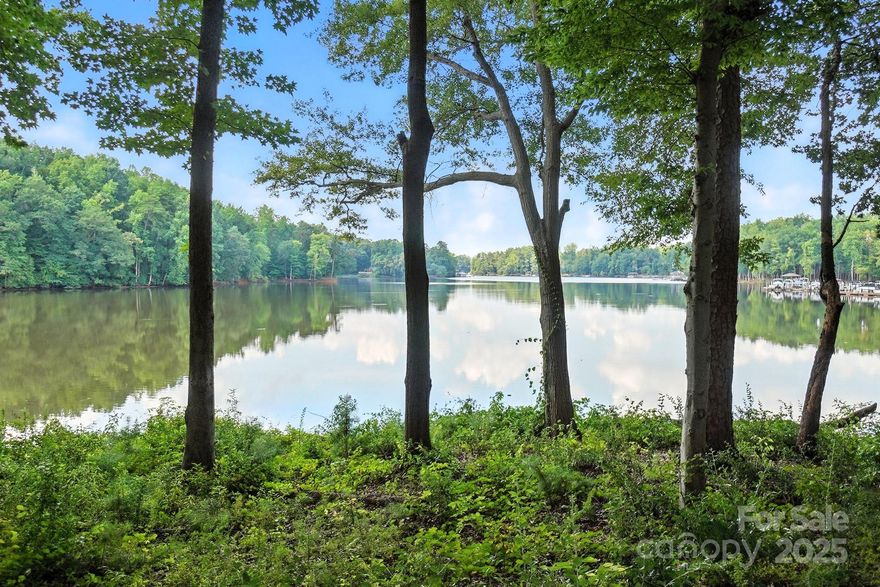 Live like you're on vacation every day in this stunning water-view townhome in Vineyards on Lake Wylie! Enjoy resort-style living w/access to premier amenities: lake access, walking trails, community gardens, outdoor pools, tennis courts, fitness center & clubhouse. This beautifully maintained home welcomes you w/a 2-story foyer & an open-concept floor plan filled w/natural light & year-round lake views. The chef’s kitchen features SS appliances, granite counters, center island & flows seamlessly to great room w/custom built-ins & gas fireplace—perfect for entertaining or relaxing. The main-level primary suite offers serene water views & spa-like bath. Upstairs, you'll find a large bonus/bedroom along with 2 additional Bedrooms. Step outside to your back deck & soak in peaceful lake views. Behind the house to the left its just a short walk to the to reach the Kayak/paddle board launch and storage area.  Walk right to the marina and boat launch. Attached 2-car garage includes an electric car charger & port for a generator. Boat slips may be available for purchase. Prime location—convenient to Uptown Charlotte, Airport, I-485/I-85, shopping & dining.