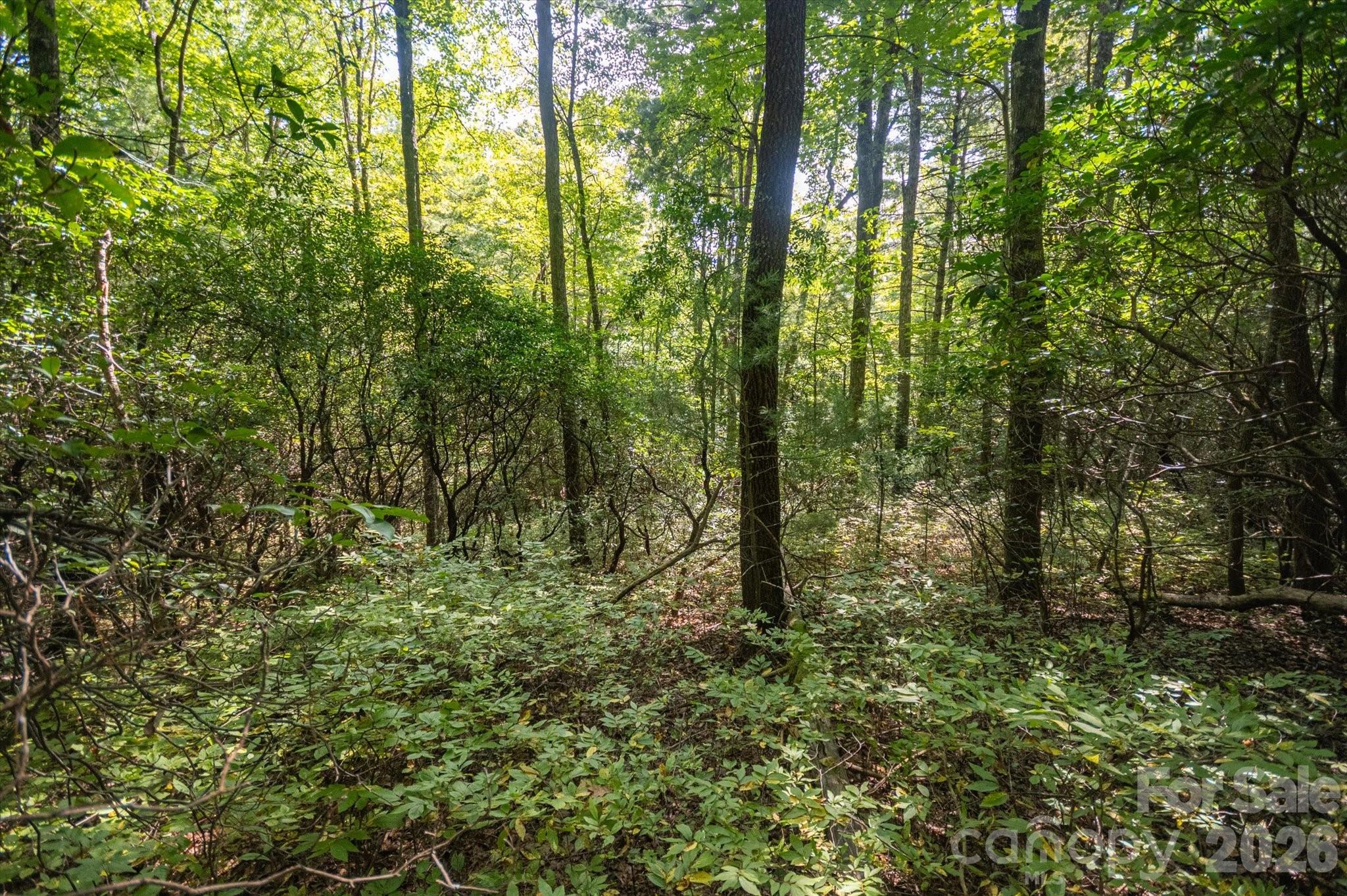 TBD Blue Ridge Road