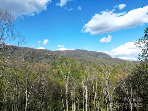 297 Easy Springs Road Sapphire NC 28774