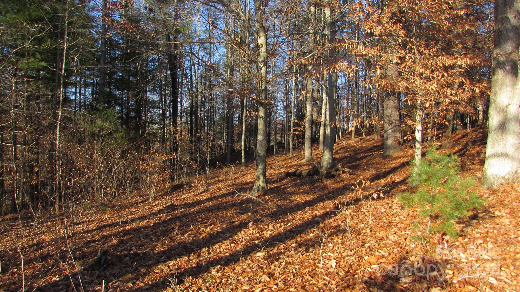 00 High Peak Drive 61