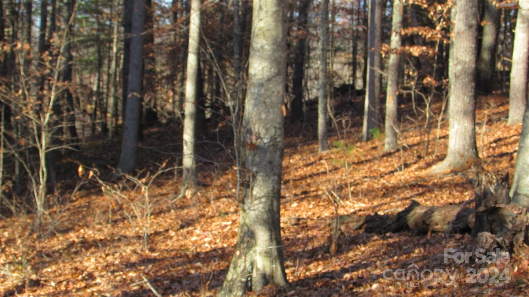 00 High Peak Drive 61