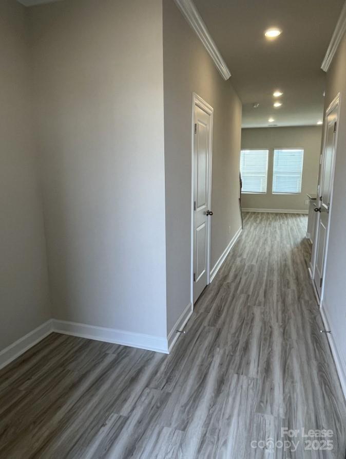 3703 Backwater Street