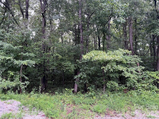 WILDERNESS LN, LANCASTER, SC 29720 - Image 0e6e085c50ff6fff7a47ebbf7fee4c2b/2687243493