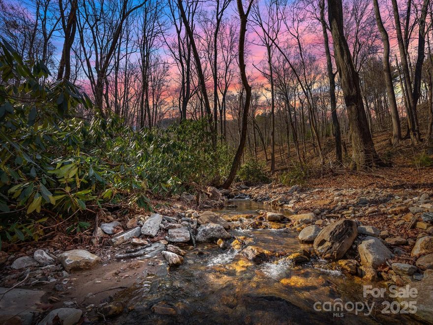 Extremely Motivated Seller, Bring All Offers!!  Imagine waking up each morning to the soothing sounds of a peaceful creek, surrounded by lush greenery and mature trees. With ample space to build your dream home, this lot offers endless potential for designing a residence that blends seamlessly with its tranquil, wooded surroundings.

As a resident of this luxurious gated community, you’ll enjoy access to exceptional amenities, whether you’re a seasoned rider or just starting, the equestrian facilitie's stables and trails offer an unparalleled experience. Golf lovers will revel in the community’s private Tom Fazio-designed golf course, a masterpiece that challenges players of all skill levels.  After a day on the course or trail you can relax at the saltwater pool and tak in the incredible mountain views.

 Secure your piece of paradise today and make this extraordinary creekfront lot in a private, amenity-rich setting your future home.