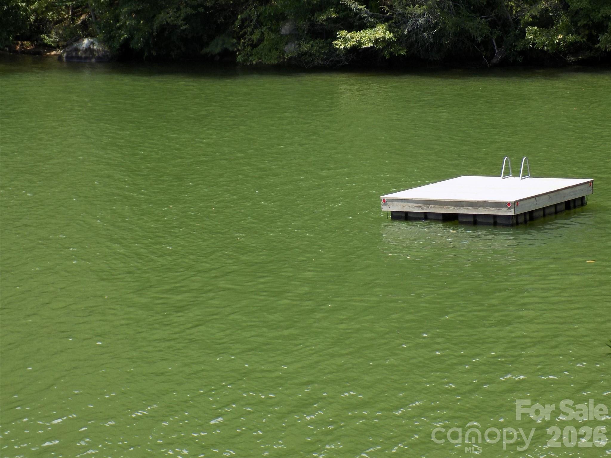 Lake Lure Village Resort - Land