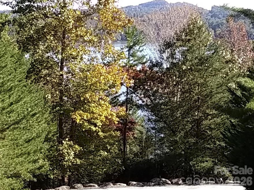 Welcome to Camp Don’t Want to Grow Up — where lake days, nature trails, and peaceful mountain living come together. This beautiful Lake Lure lot is ready to build with topo in hand, a 3-bedroom septic permit approved, and house plans already drawn. Enjoy winter views of Lake Lure with strong potential for year-round vistas. Located in a vibrant community offering a marina, beach area, community guest house, and gymnasium, all surrounded by abundant wildlife and protected green space. Spend your days playing in the lake, spotting deer from your porch, and breathing in fresh mountain air. This is more than a lot — it’s a lifestyle where every day feels like vacation.