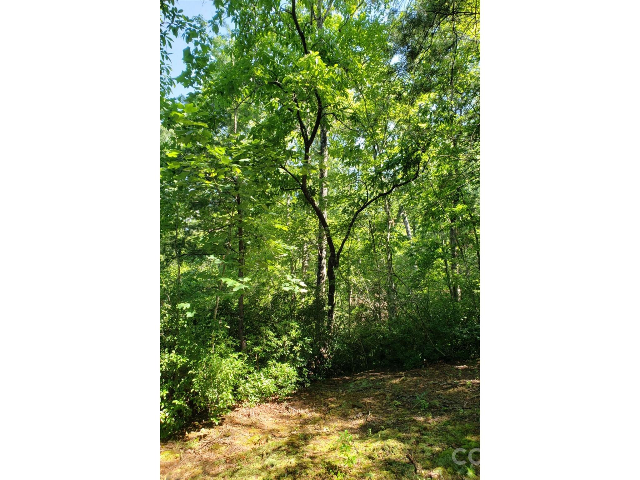 Lake Lure Village Resort - Land