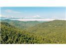 Lot 28 Rushing Falls Way
