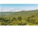 Lot 28 Rushing Falls Way