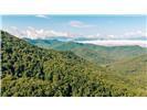 Lot 28 Rushing Falls Way