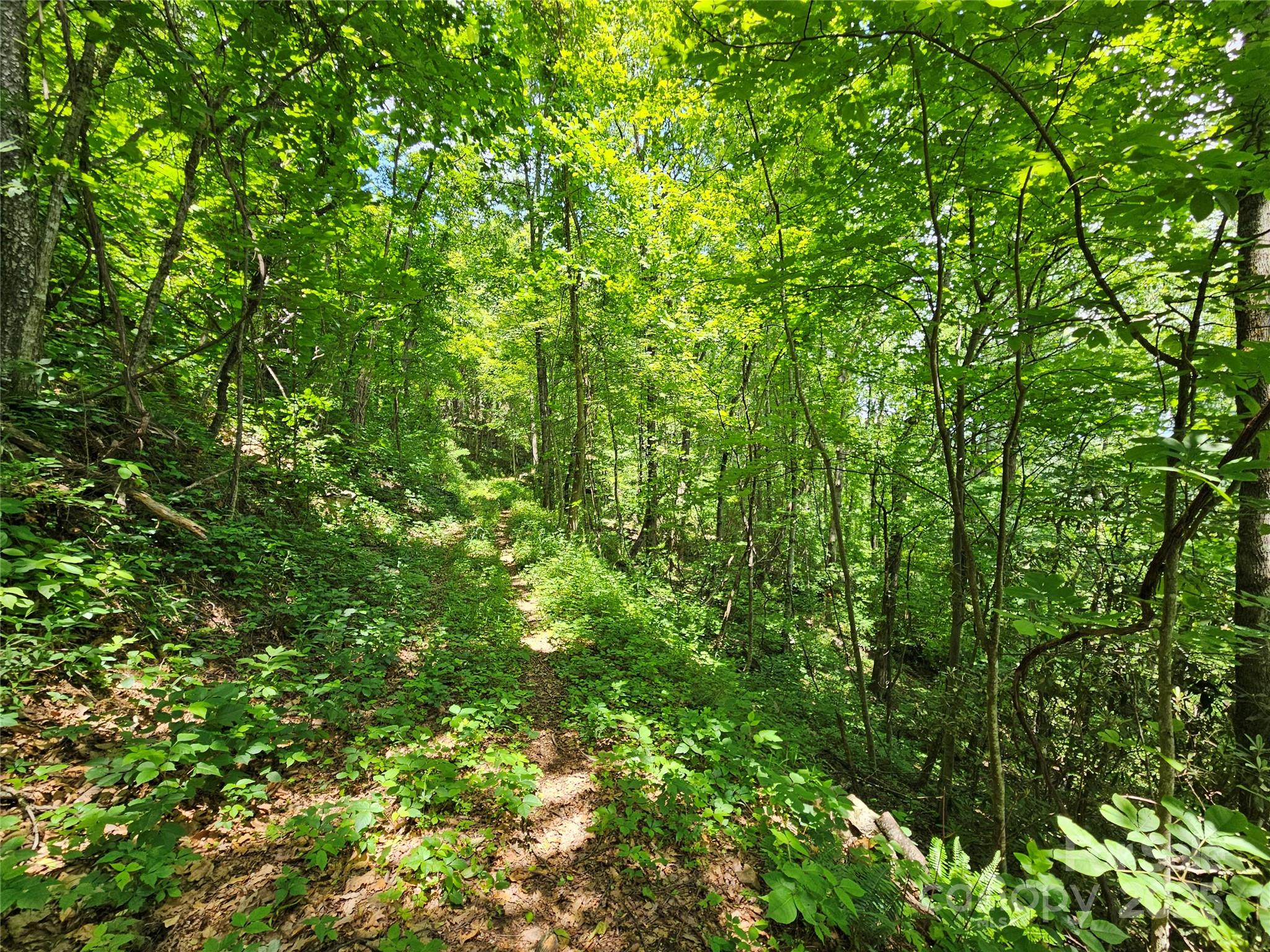Maggie Valley Country Club Est - Land