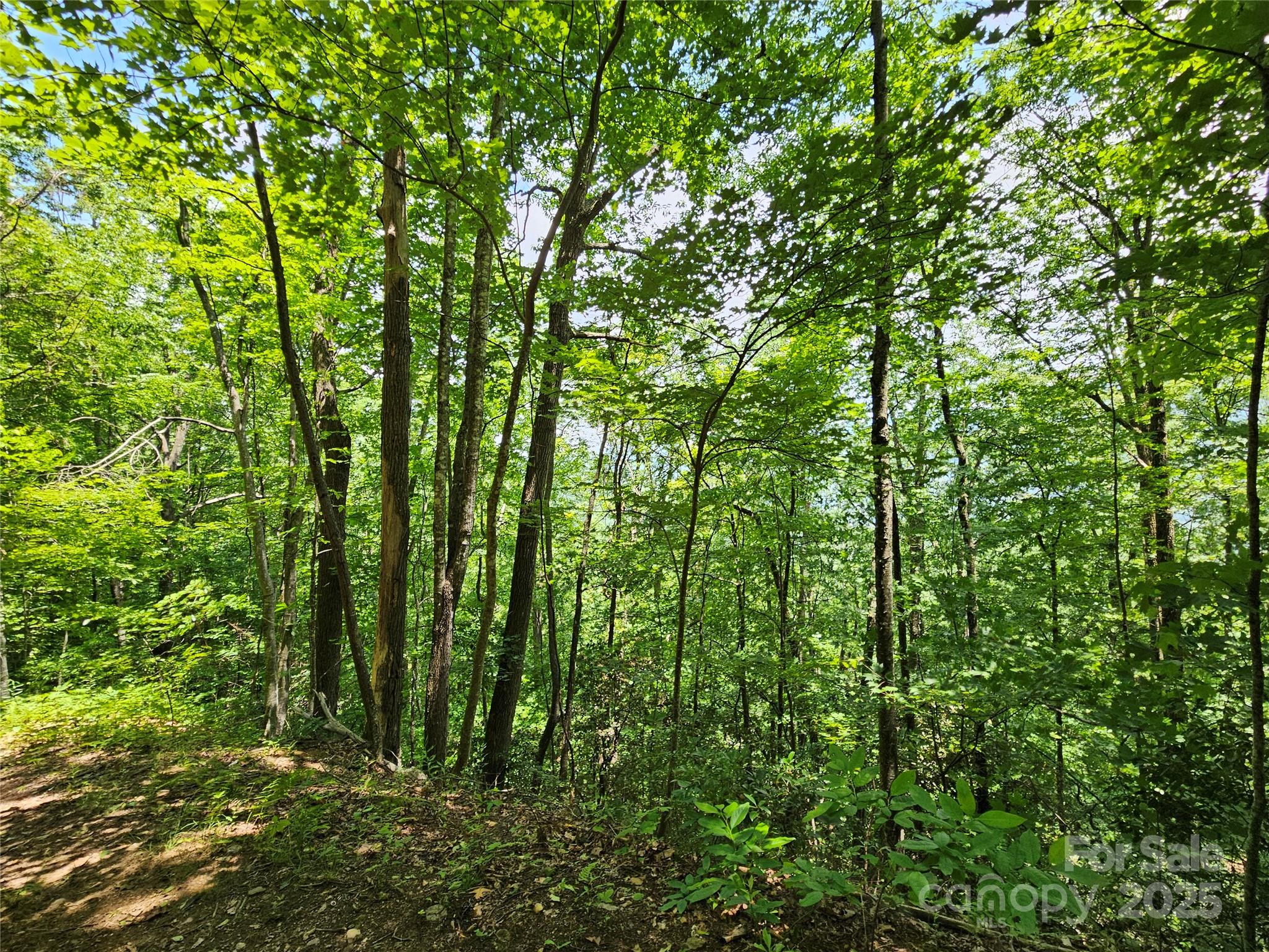 Maggie Valley Country Club Est - Land