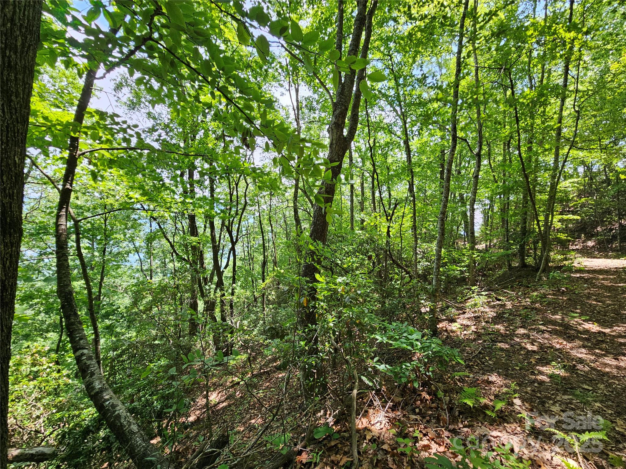 Maggie Valley Country Club Est - Land