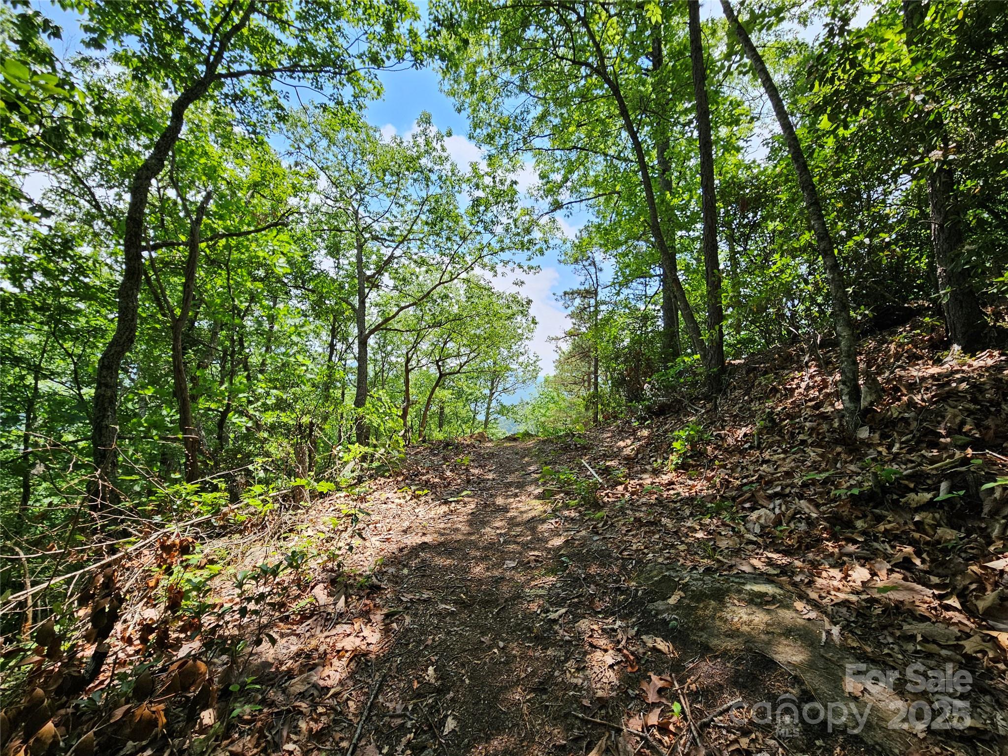 Maggie Valley Country Club Est - Land
