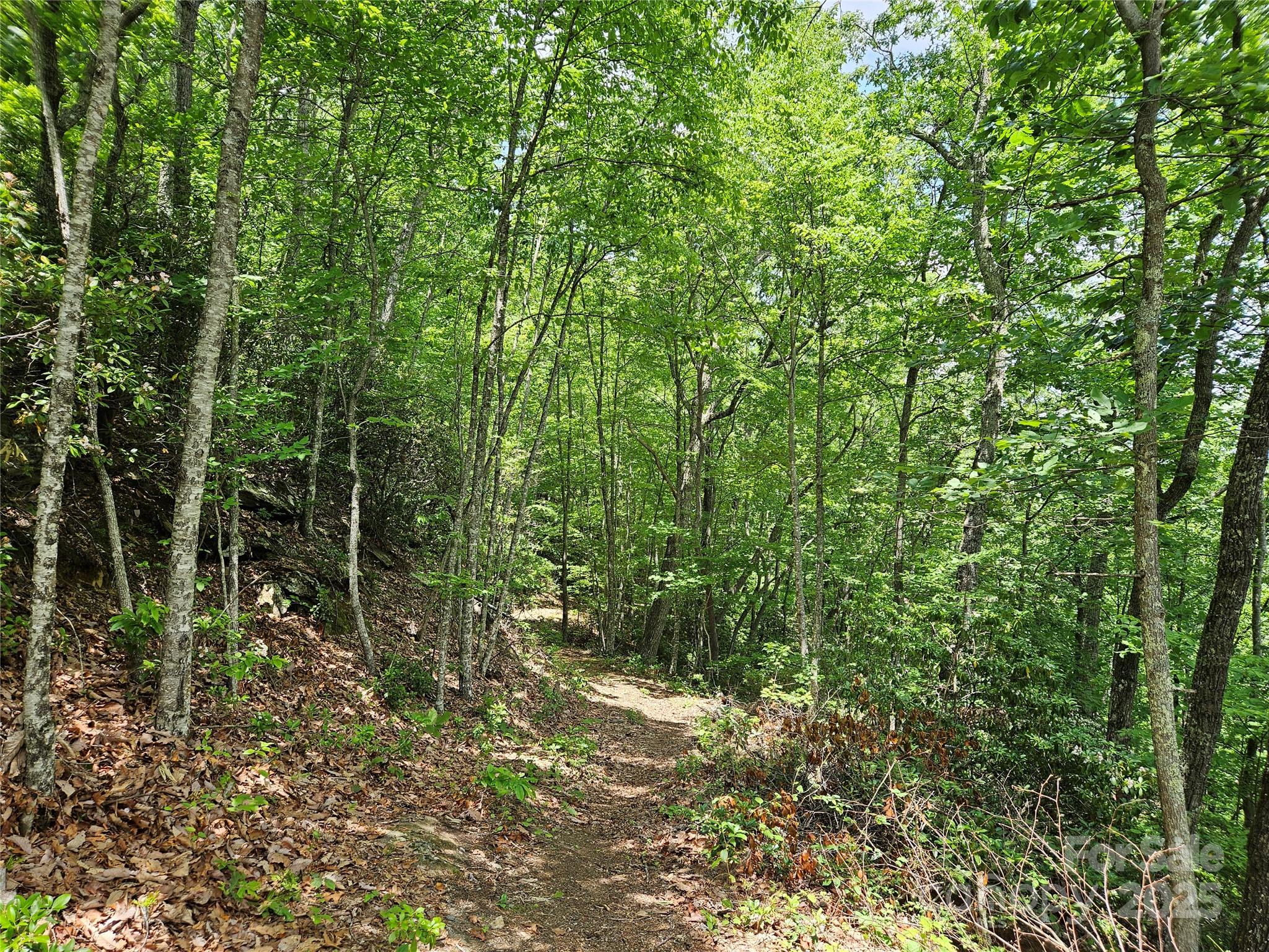 Maggie Valley Country Club Est - Land