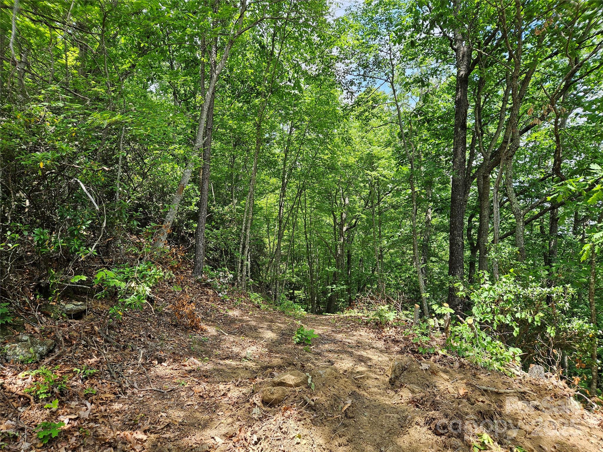 Maggie Valley Country Club Est - Land