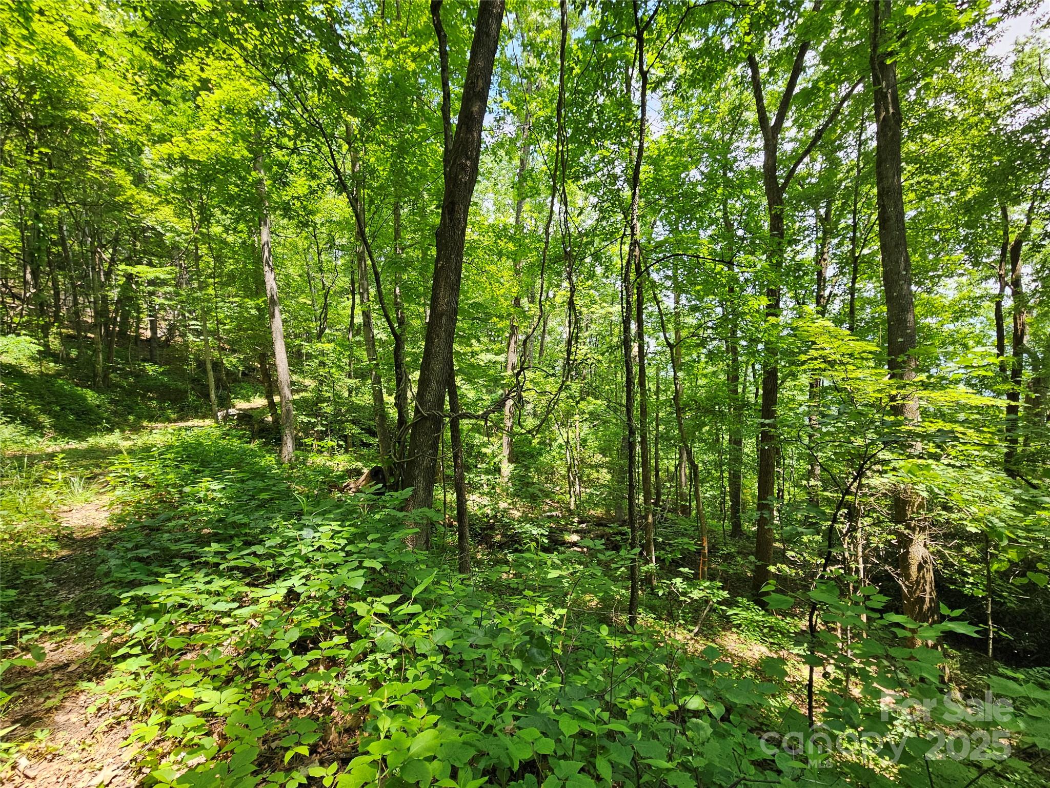 Maggie Valley Country Club Est - Land