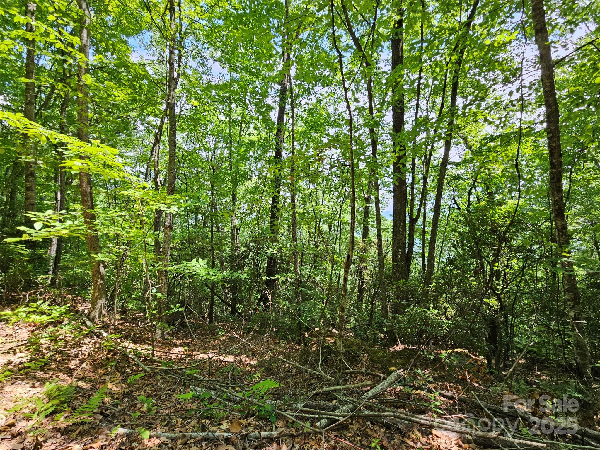 Maggie Valley Country Club Est - Land