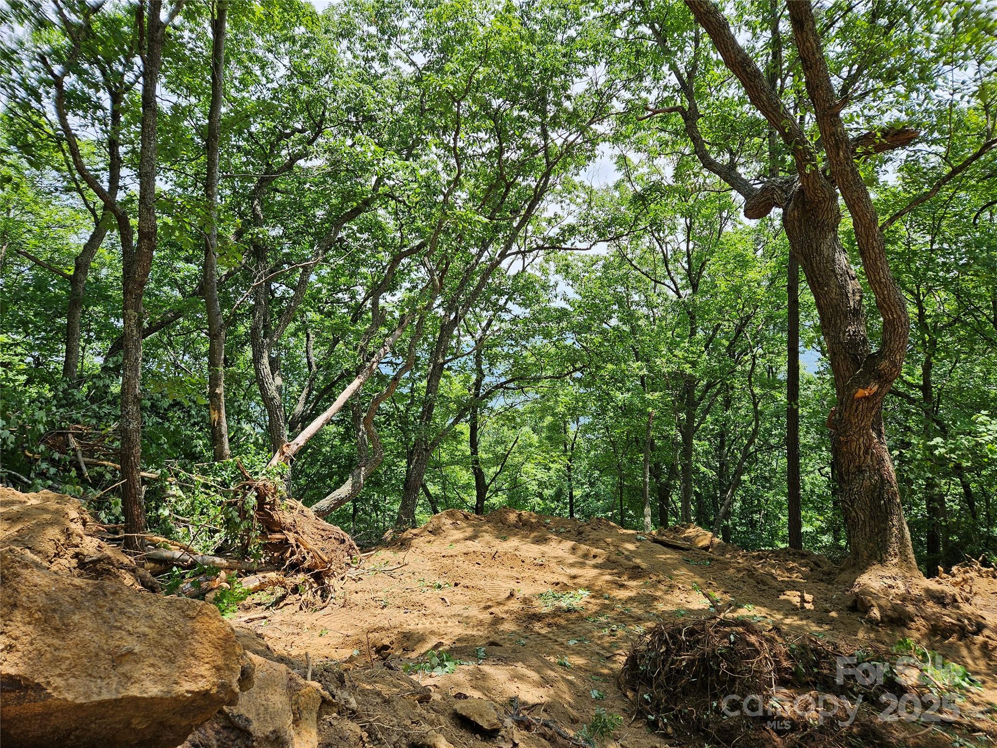 Maggie Valley Country Club Est - Land