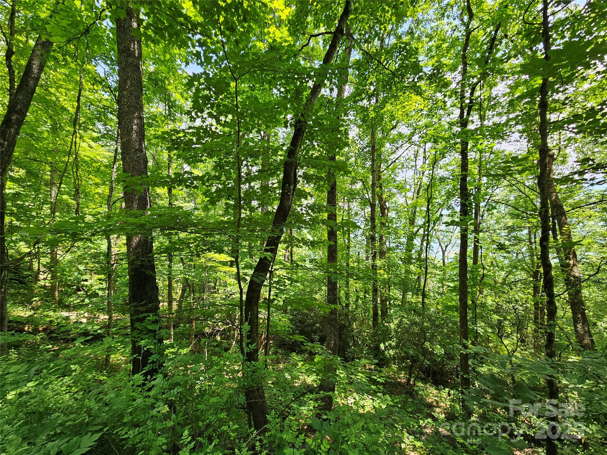 Maggie Valley Country Club Est - Land