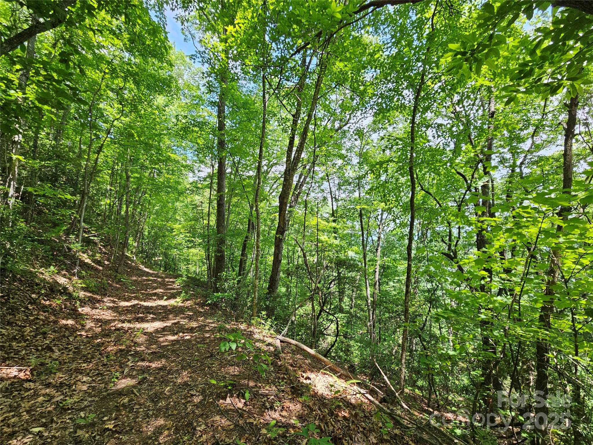 Maggie Valley Country Club Est - Land