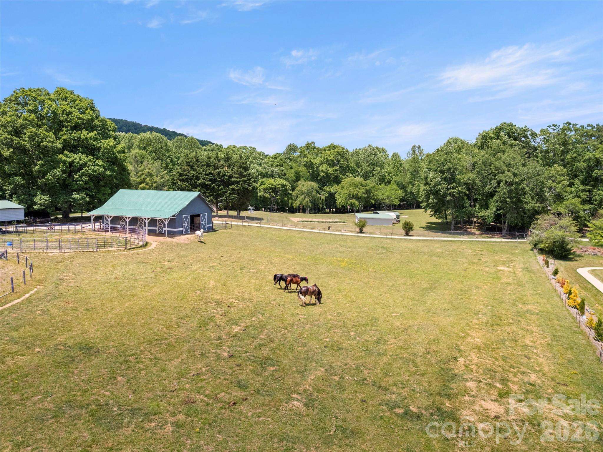 Mills River Crossing - Residential