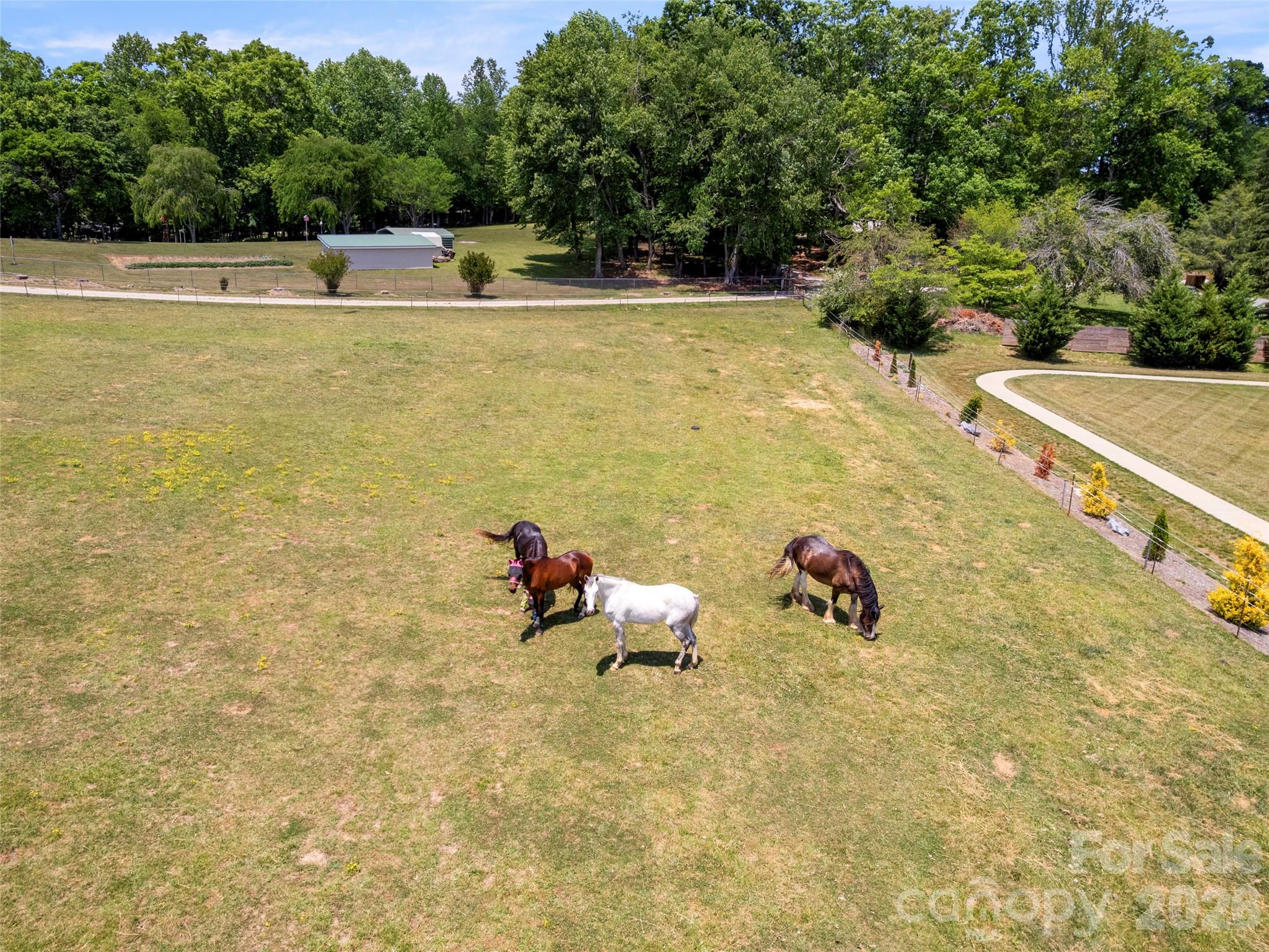 Mills River Crossing - Residential