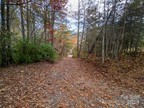 00000 Davistown Church Road Old Fort NC 28762