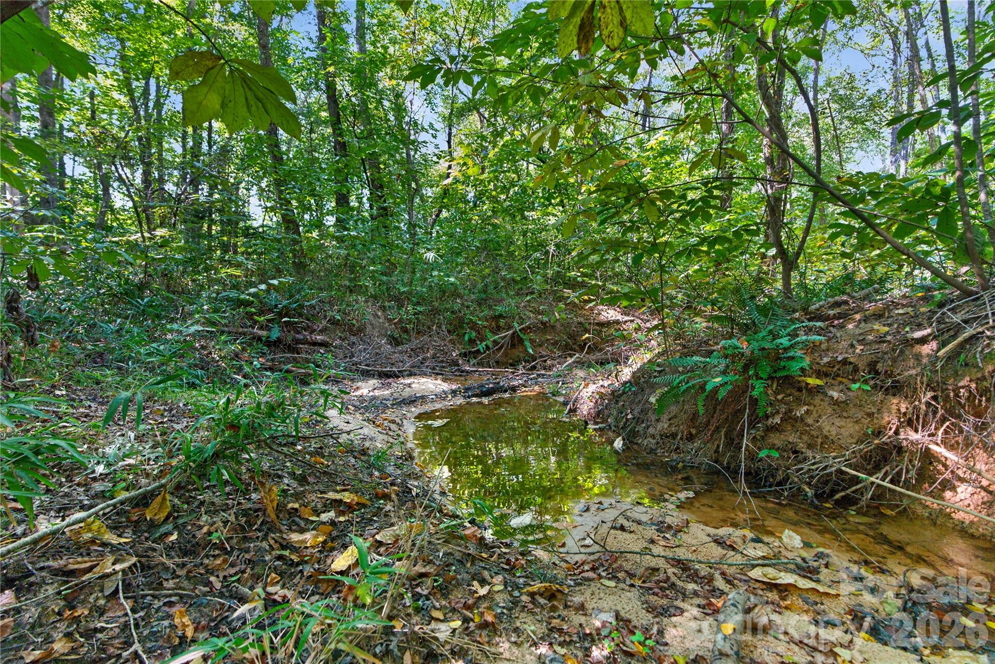 0000 Narrow Bridge Road 1