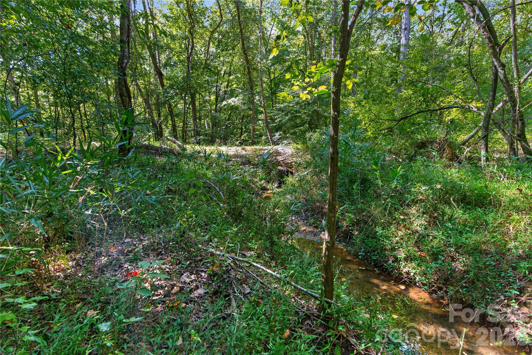 0000 Narrow Bridge Road 1