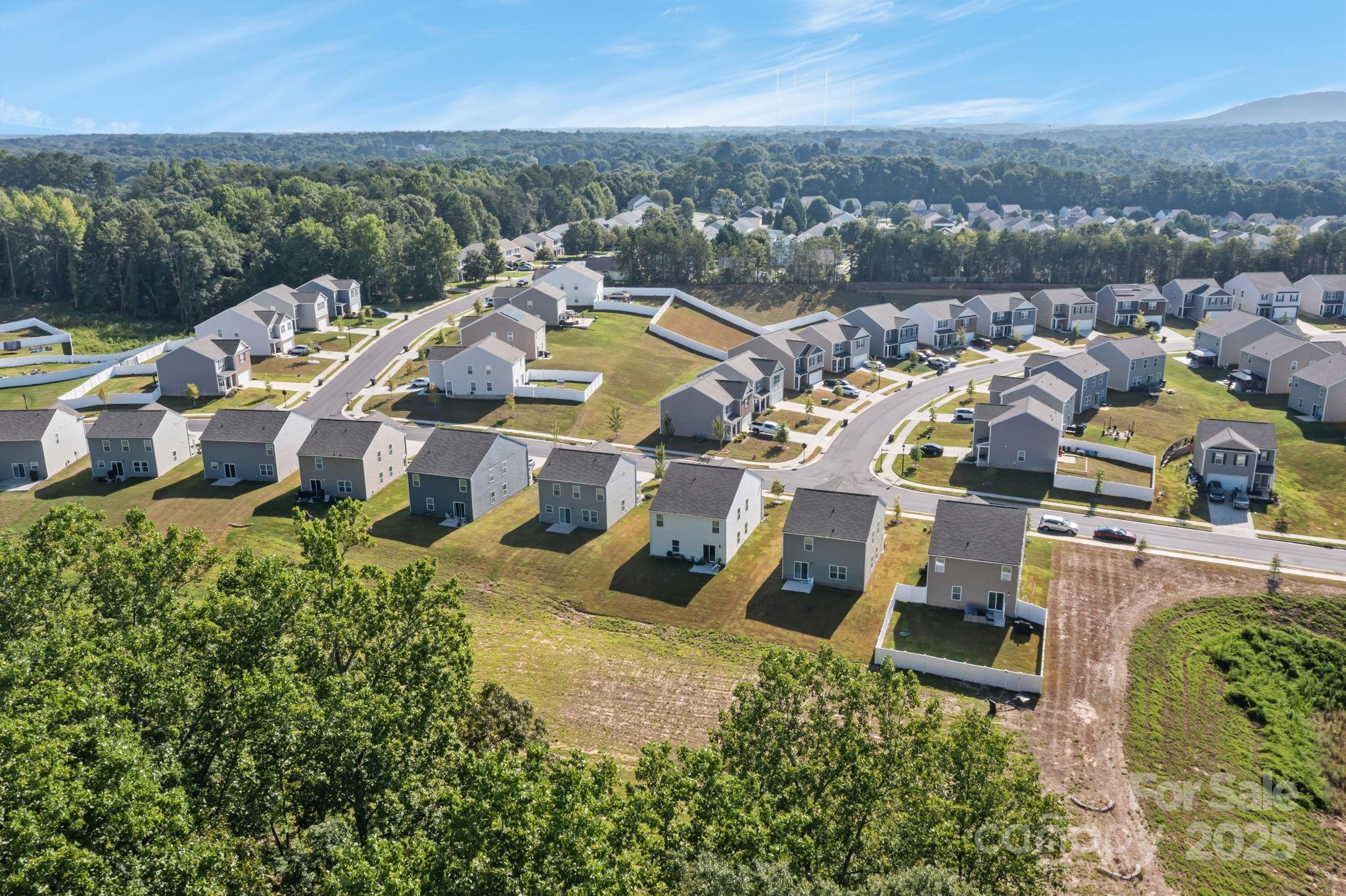 The Mills at Long Creek - Residential