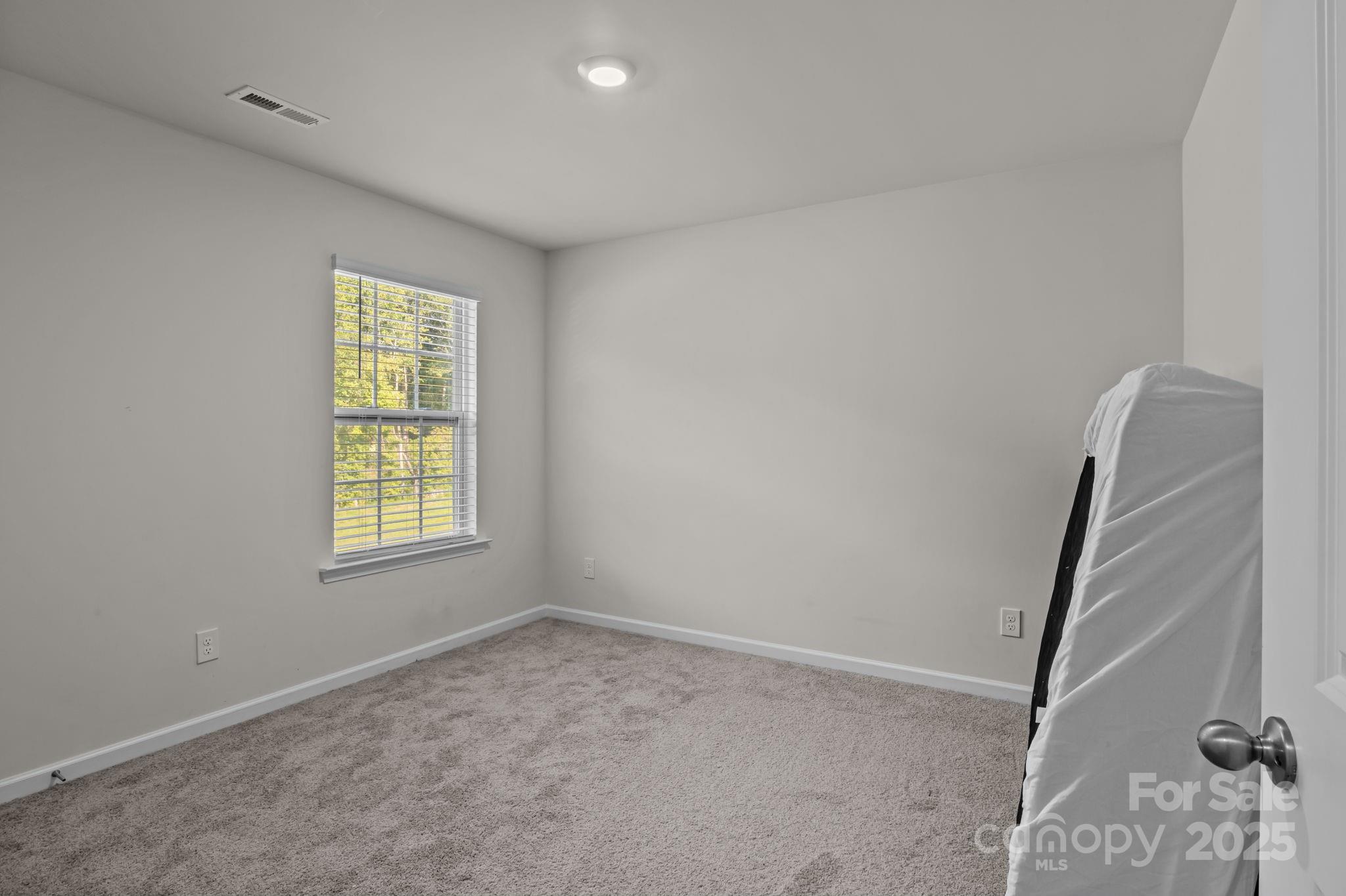 The Mills at Long Creek - Residential