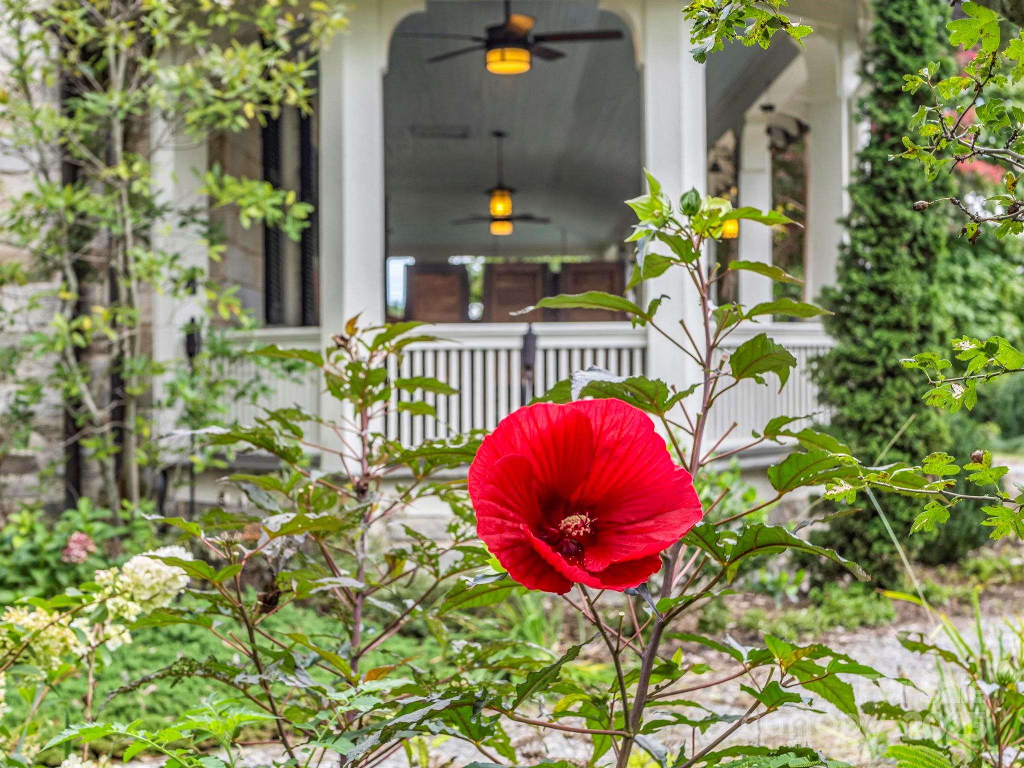 Hyman Heights - Residential