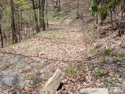 9999 Clara Corn Drive Maggie Valley NC 28751