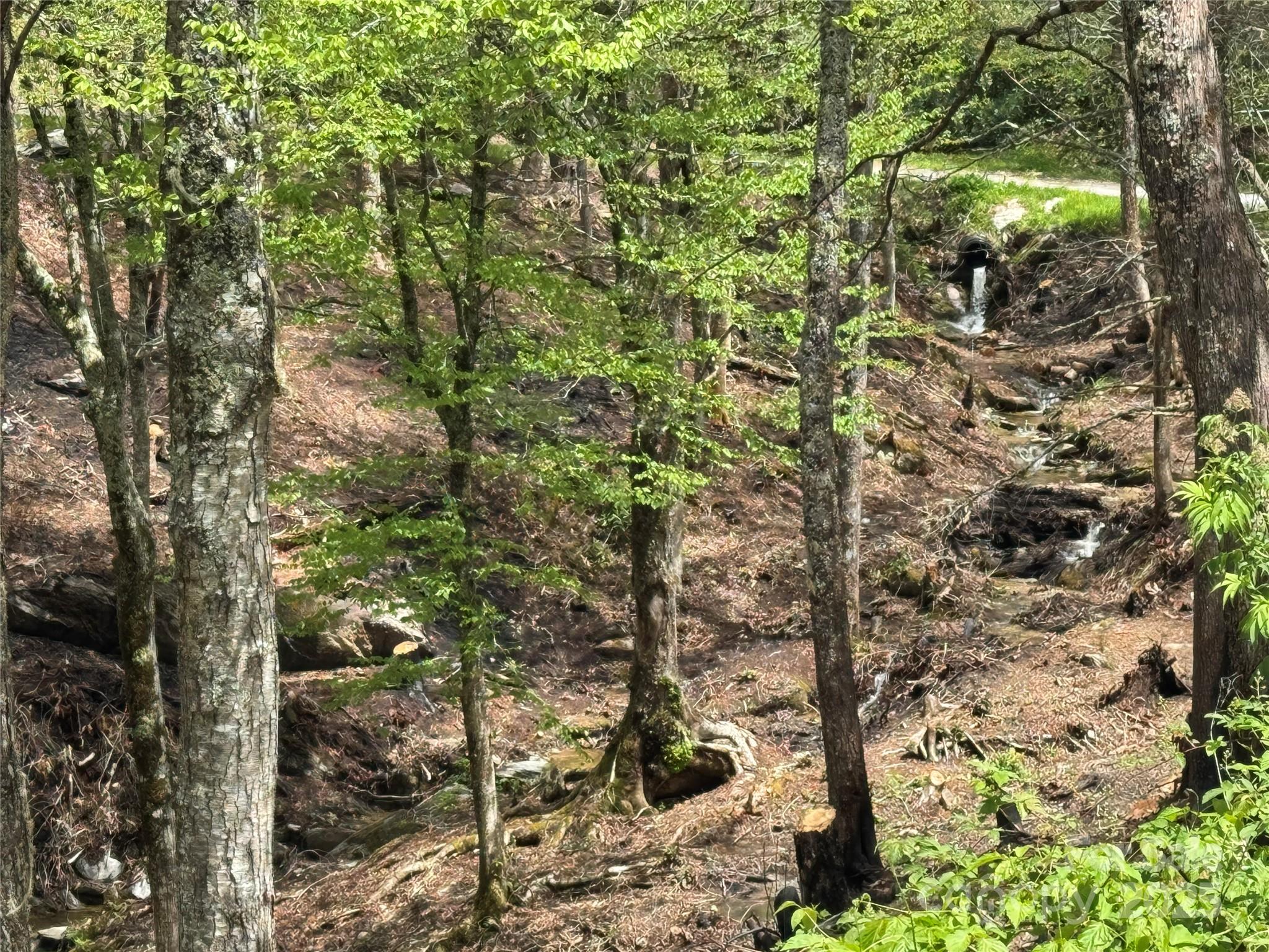 6 Lots Snow Ridge Road 35-40