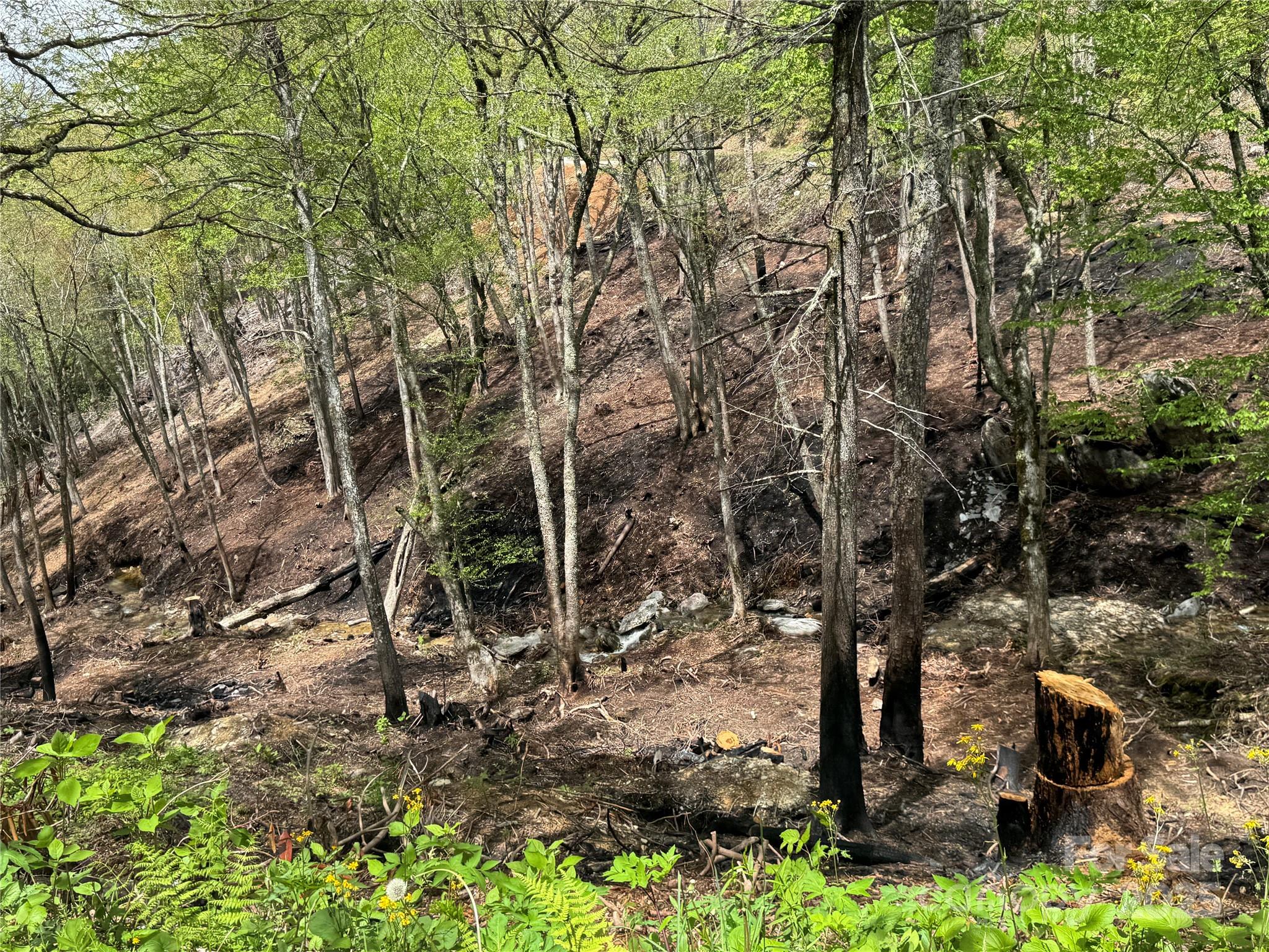 6 Lots Snow Ridge Road 35-40