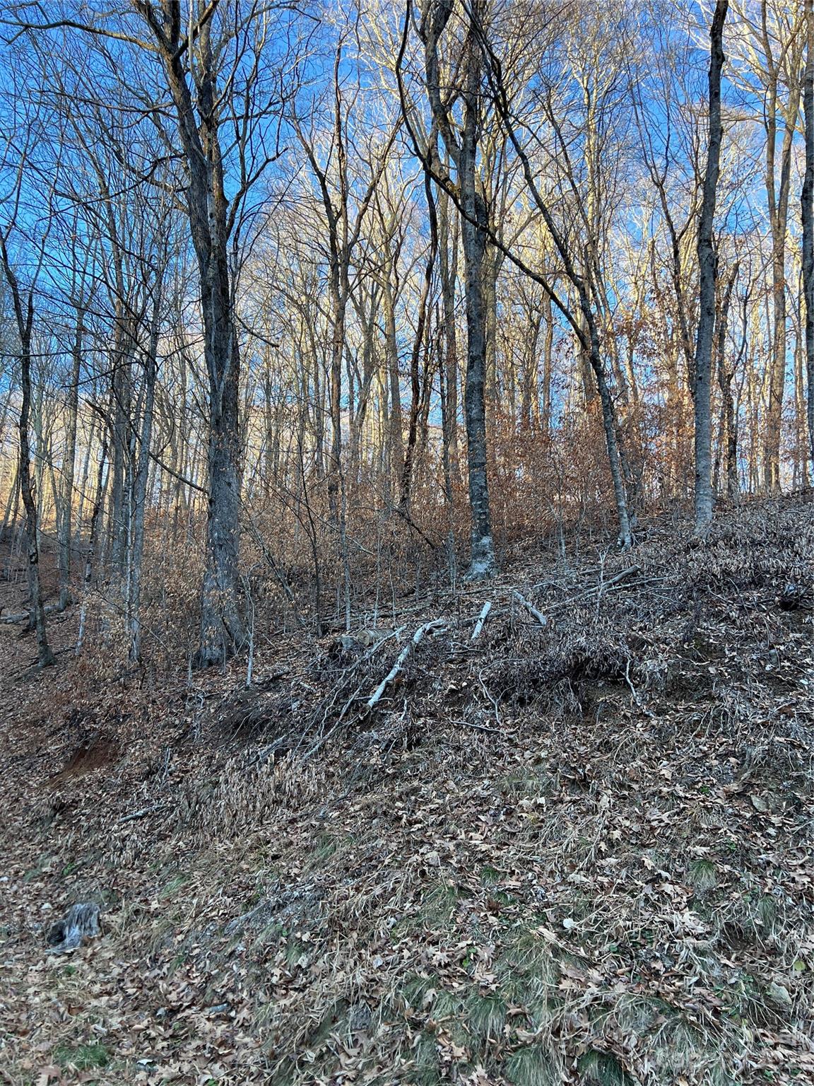 Wolf Laurel Heights - Land