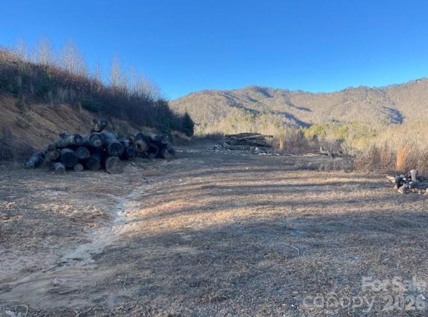 Escape to the mountains with this 34.02± acre tract in the beautiful Fines Creek area, offering the perfect blend of wooded privacy, cleared spaces, pastureland, and long-range mountain views in the distance. Whether you’re dreaming of a homestead, mini-farm, recreational retreat, or future build site, this property is ready for your vision.

Multiple existing structures provide a head start, including a barn, a shed, and a third rough structure, plus a pond that adds charm and potential for livestock or relaxing outdoor enjoyment. The land’s varied terrain and mix of open and wooded cover create endless opportunities for trails, gardening, grazing, or simply soaking in the peaceful setting.

No septic or well currently in place. Convenient access past two curves of the paved road puts you close to the beauty of the mountains while still feeling worlds away. Bring your plans and come explore the possibilities!

Note: Listing agent is related to seller by marriage.