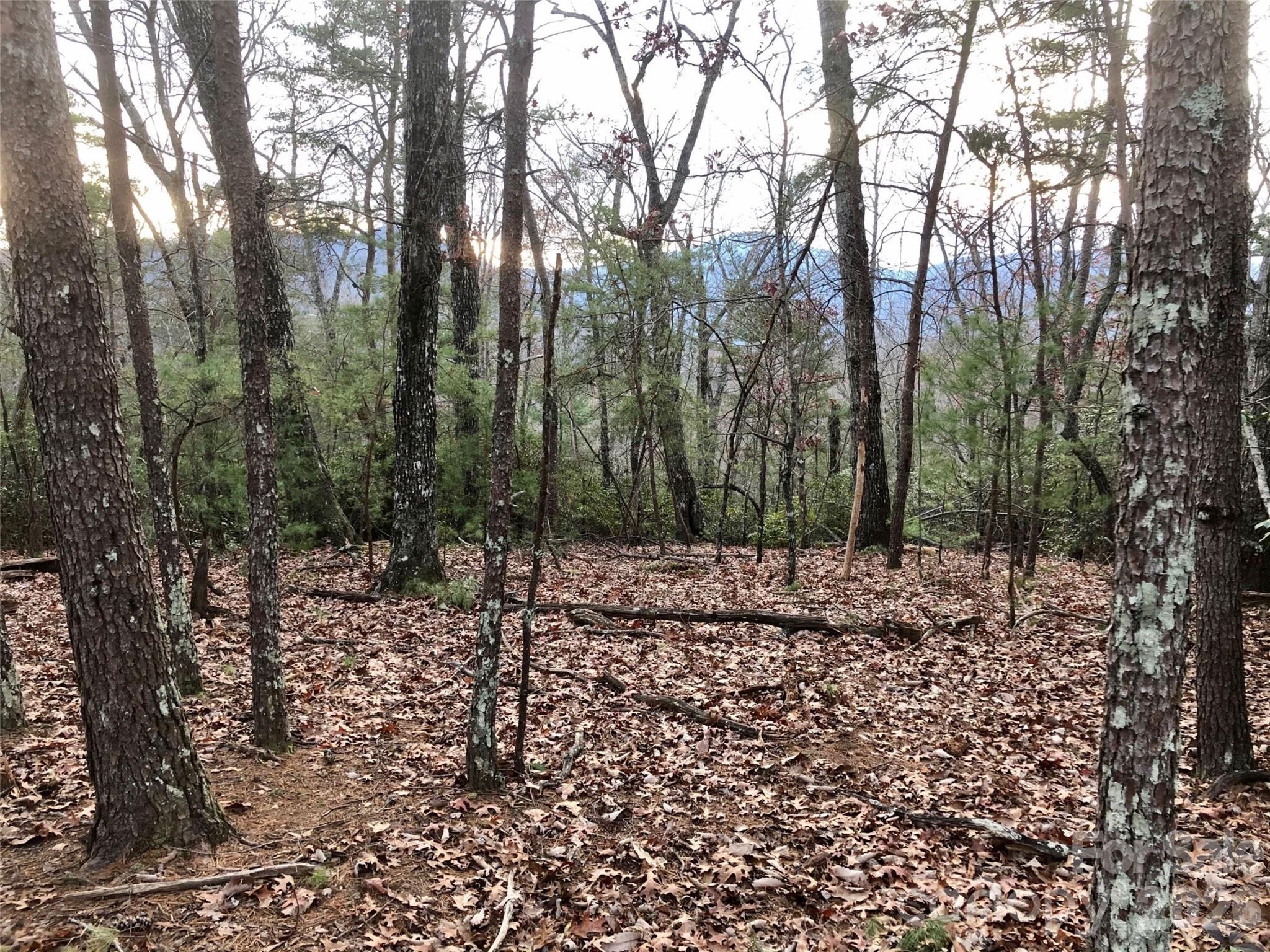 0 Falls View Trail Lot 52