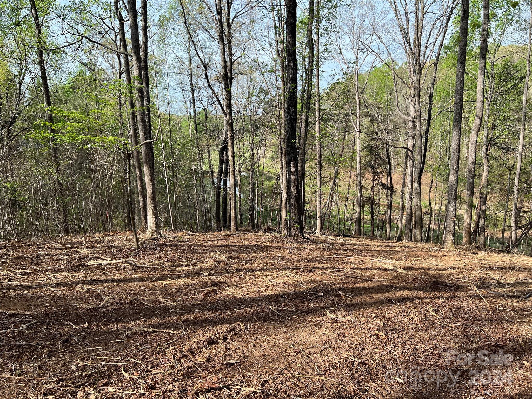 0 Moss Drive 39