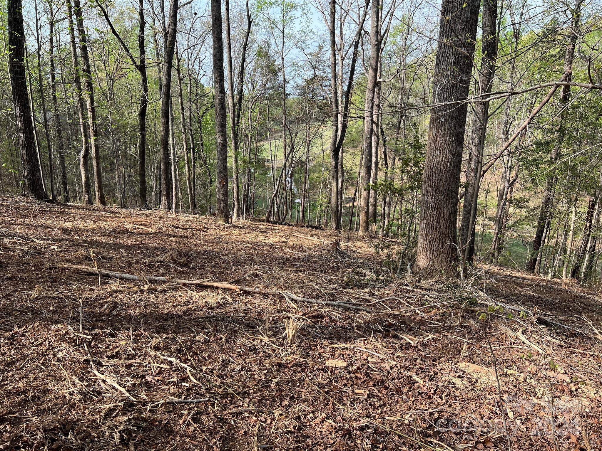 Cleghorn Plantation - Land