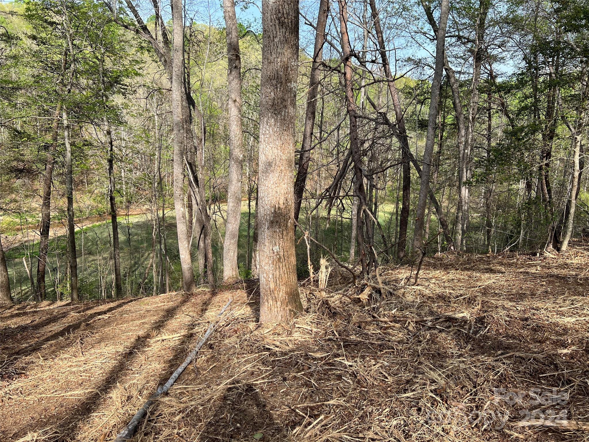 Cleghorn Plantation - Land