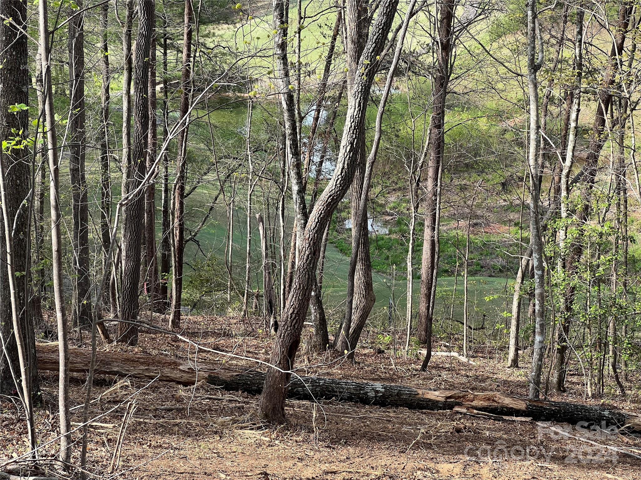Cleghorn Plantation - Land