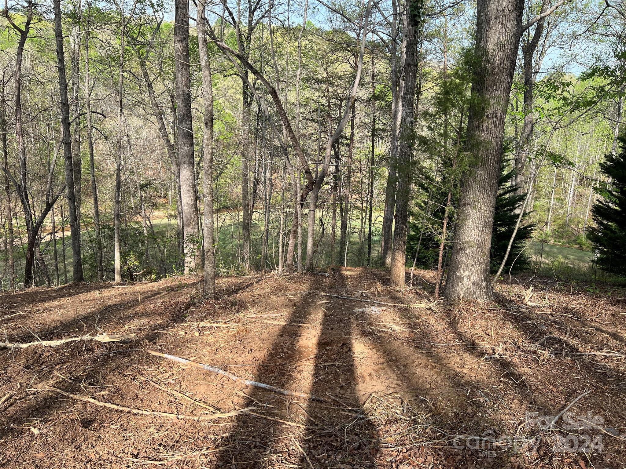 Cleghorn Plantation - Land
