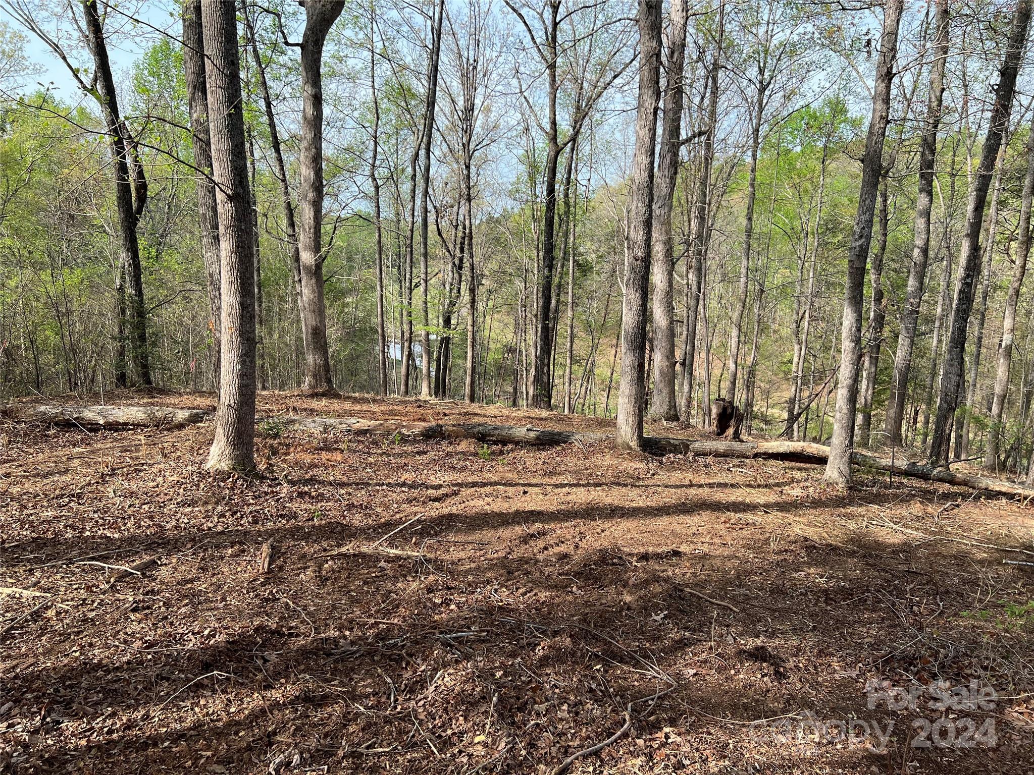 Cleghorn Plantation - Land