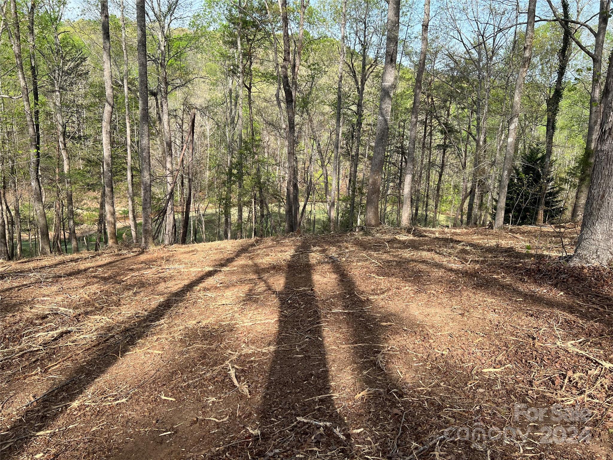 Cleghorn Plantation - Land
