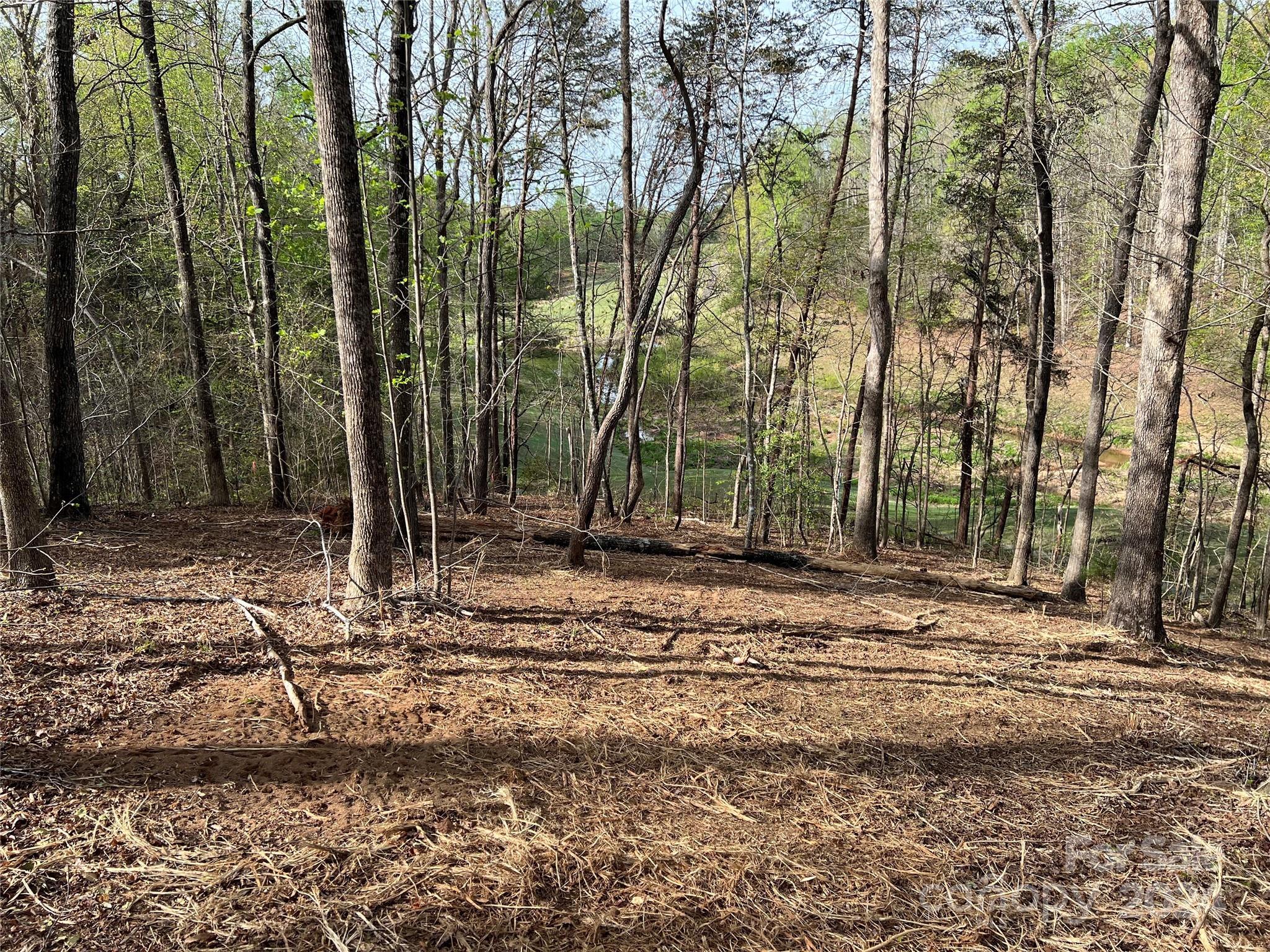 Cleghorn Plantation - Land